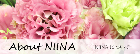 NIINAについて
